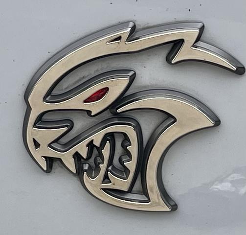 Photo of 2021 Silver Dodge Charger